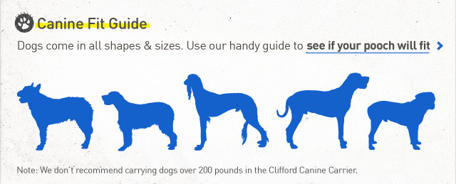 Canine Fit Guide.